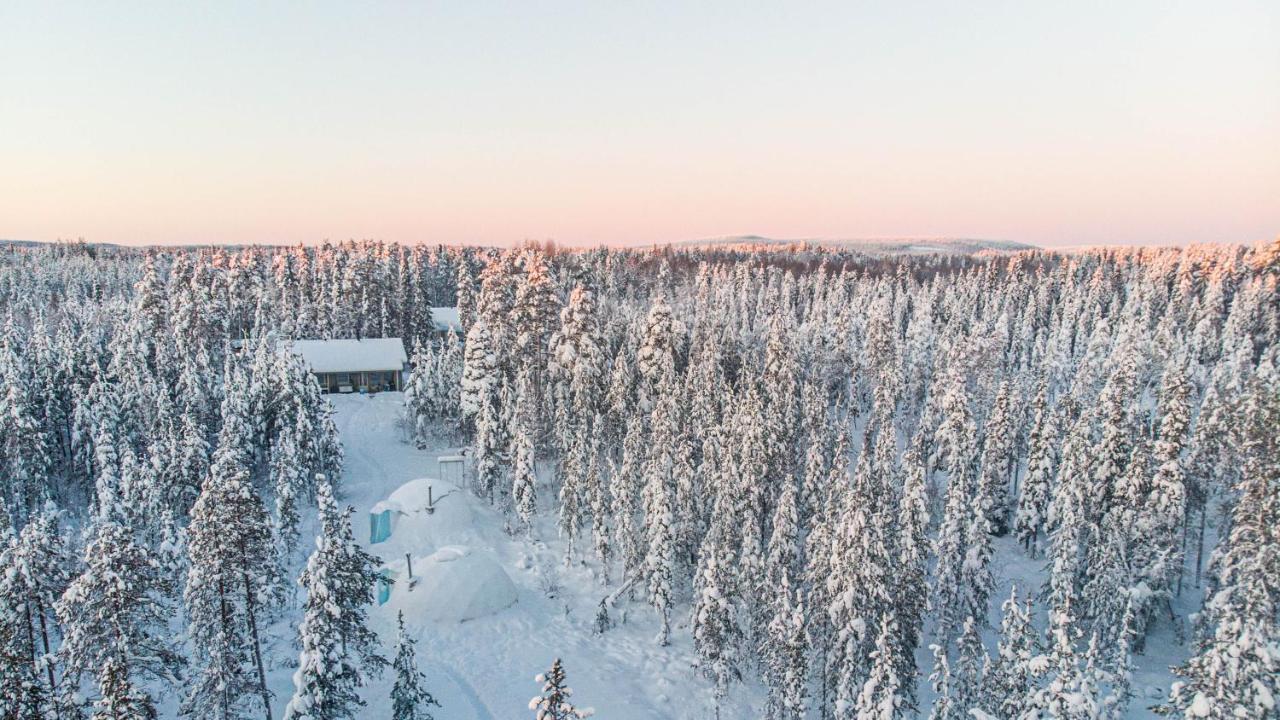 Aurora Igloo Fireplace-Heated Tents In A Secret Forest With Private Jacuzzi And Shared Sauna Bathroom And Dog Friendly Rovaniemi Dış mekan fotoğraf