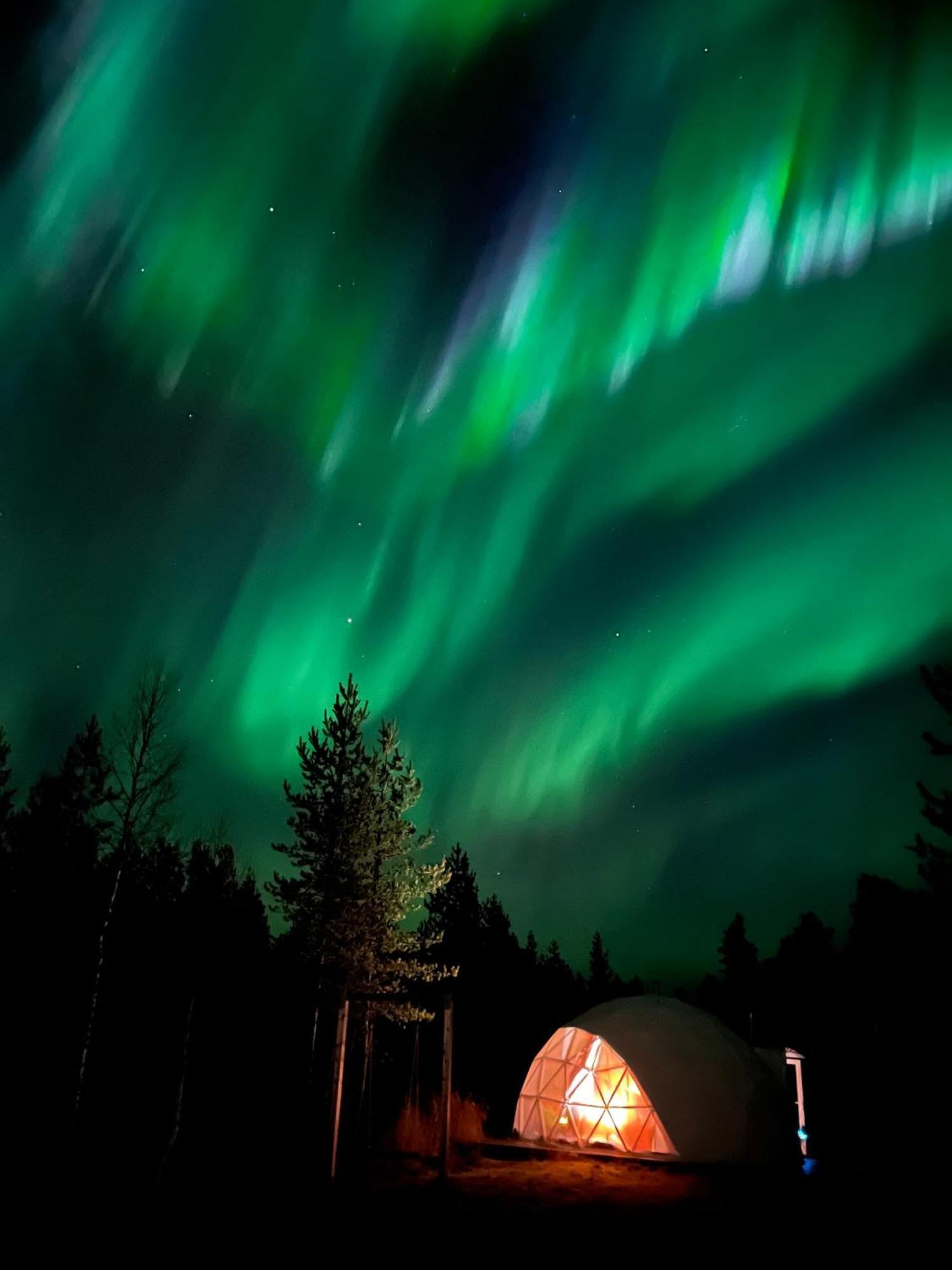 Aurora Igloo Fireplace-Heated Tents In A Secret Forest With Private Jacuzzi And Shared Sauna Bathroom And Dog Friendly Rovaniemi Dış mekan fotoğraf
