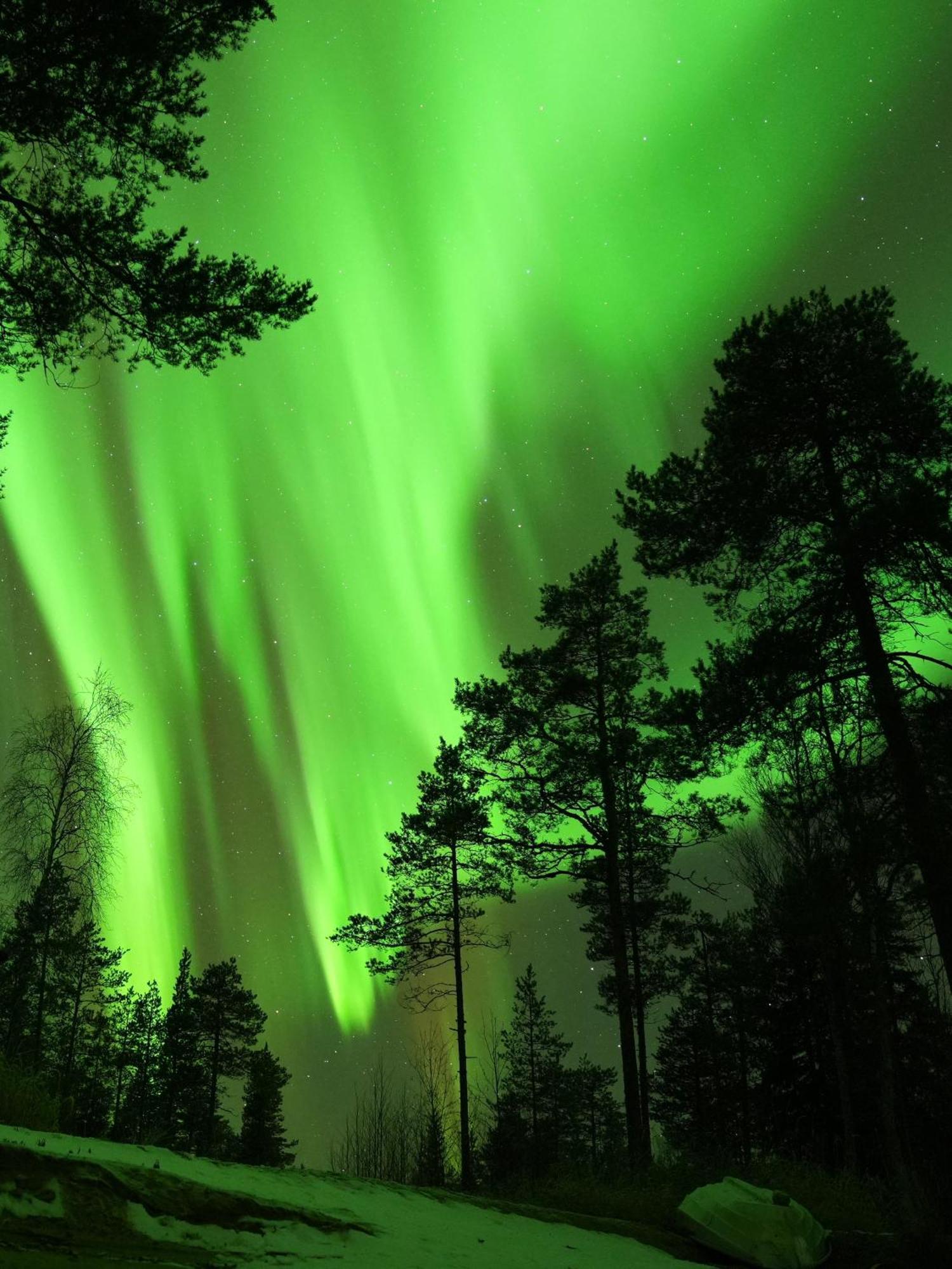 Aurora Igloo Fireplace-Heated Tents In A Secret Forest With Private Jacuzzi And Shared Sauna Bathroom And Dog Friendly Rovaniemi Dış mekan fotoğraf