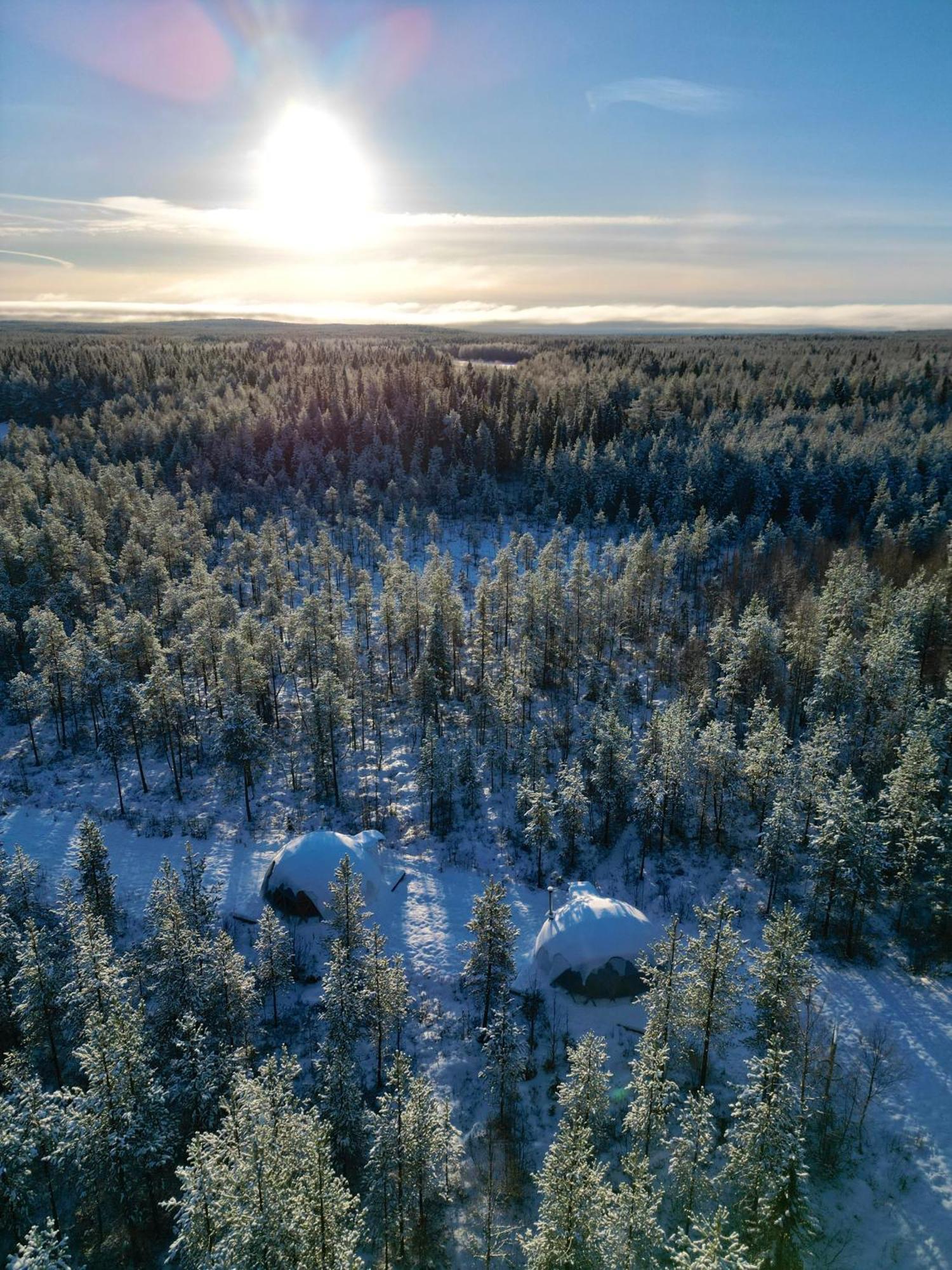 Aurora Igloo Fireplace-Heated Tents In A Secret Forest With Private Jacuzzi And Shared Sauna Bathroom And Dog Friendly Rovaniemi Dış mekan fotoğraf